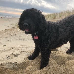 Meet your Posher, Olivia